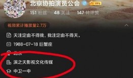 心態(tài)被爆料視頻,揭秘視頻背后的真實(shí)心態(tài)與情感波動(dòng)