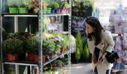 娛樂吃瓜醬花店,吃瓜醬花店背后的秘密花園