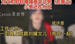 文軒節目爆料最新視頻,揭秘幕后真相，精彩瞬間不容錯過