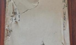 臨沂探店爆料視頻最新下載,網(wǎng)紅美食地圖更新，獨家爆料來襲！