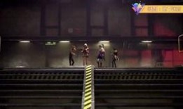 最新爆料地下蟻人,神秘生物的生存智慧與生態(tài)奧秘