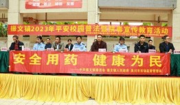 吳川學校爆料視頻大全集,揭秘校園風云錄