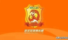 武漢長江爆料最新消息視頻,揭秘視頻背后的驚人真相