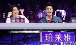 文軒節目爆料最新視頻,揭秘幕后真相，精彩瞬間不容錯過