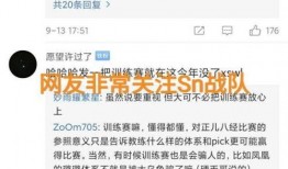 s10訓練賽最新爆料,神秘陣容崛起，巔峰對決一觸即發！