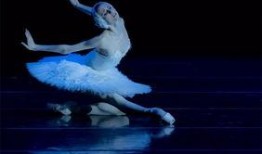 獨舞天鵝爆料了嗎視頻下載,揭秘幕后真相