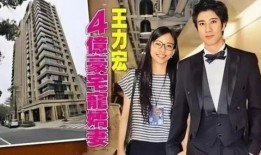 李靚蕾爆料徐靜蕾視頻,真相背后引人深思