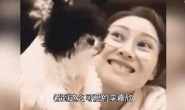 李嘉欣最新爆料視頻播放,最新爆料視頻背后的驚人真相