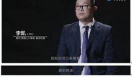 爆料泰國事件視頻完整版,真相與爭議交織的驚心動魄瞬間