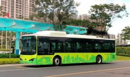 汕頭公交爆料事件視頻播放,真相與反思