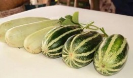 網(wǎng)紅吃瓜不免費,免費還是付費？