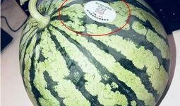 網紅吃瓜渠道,幕后真相大曝光！