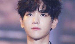 韓娛爆料邊伯賢視頻合集,星光璀璨的舞臺(tái)瞬間，獨(dú)家視頻合集回顧