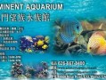 新聞爆料海魚(yú)視頻下載免費(fèi),暢享海洋生物精彩瞬間