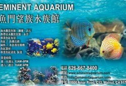 新聞爆料海魚視頻下載免費,暢享海洋生物精彩瞬間