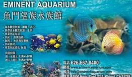 新聞爆料海魚視頻下載免費(fèi),暢享海洋生物精彩瞬間