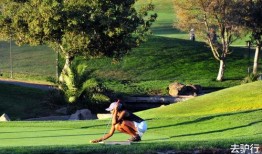 導演美國豪宅被爆料視頻,奢華生活背后的爭議與反思