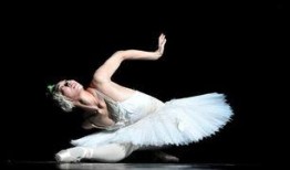 獨舞天鵝爆料了嗎視頻下載,揭秘幕后真相