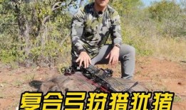 打獵視頻在線觀看,在線觀看打獵視頻的驚險之旅