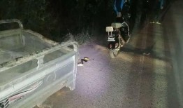 最新爆料車禍事件新聞發(fā)布會,最新進展與調(diào)查詳情揭曉