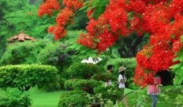 深圳木棉花爆料案件最新,揭開娛樂圈潛規則黑幕