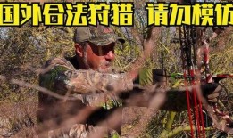 打獵視頻在線觀看,在線觀看打獵視頻的驚險之旅