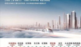 上海財經新聞爆料電話,揭露財經領域內幕，助力市場透明化