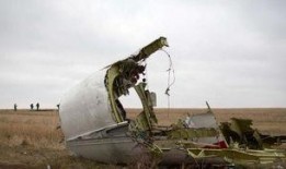 天涯最新爆料墜機案,最新墜機案背后驚人內幕曝光