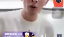 辛巴爆料金星了嗎視頻,視頻曝光驚人真相