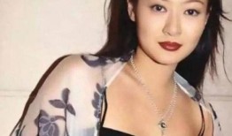 圈內爆料陳寶蓮視頻,圈內爆料引發熱議