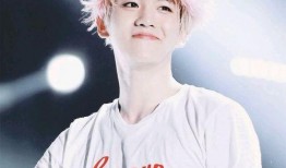 韓娛爆料邊伯賢視頻合集,星光璀璨的舞臺(tái)瞬間，獨(dú)家視頻合集回顧