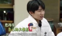 王源爆料火鍋店視頻,獨家探秘美食背后的故事