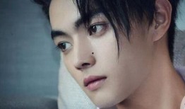 一哥爆料白鹿許凱視頻,甜蜜互動(dòng)引網(wǎng)友熱議